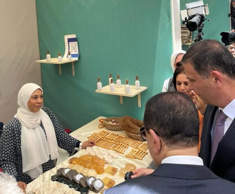 من نواة التمر إلى منتج طبيعي… “الواحة”مشروع بيئي من قلب الوادي الجديد